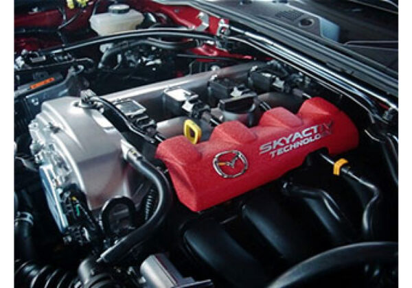 Murakami Engine Cover - Image 2