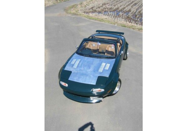 TRAP Large Fender Flares - Image 8