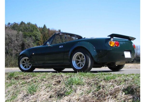 TRAP Large Fender Flares - Image 6